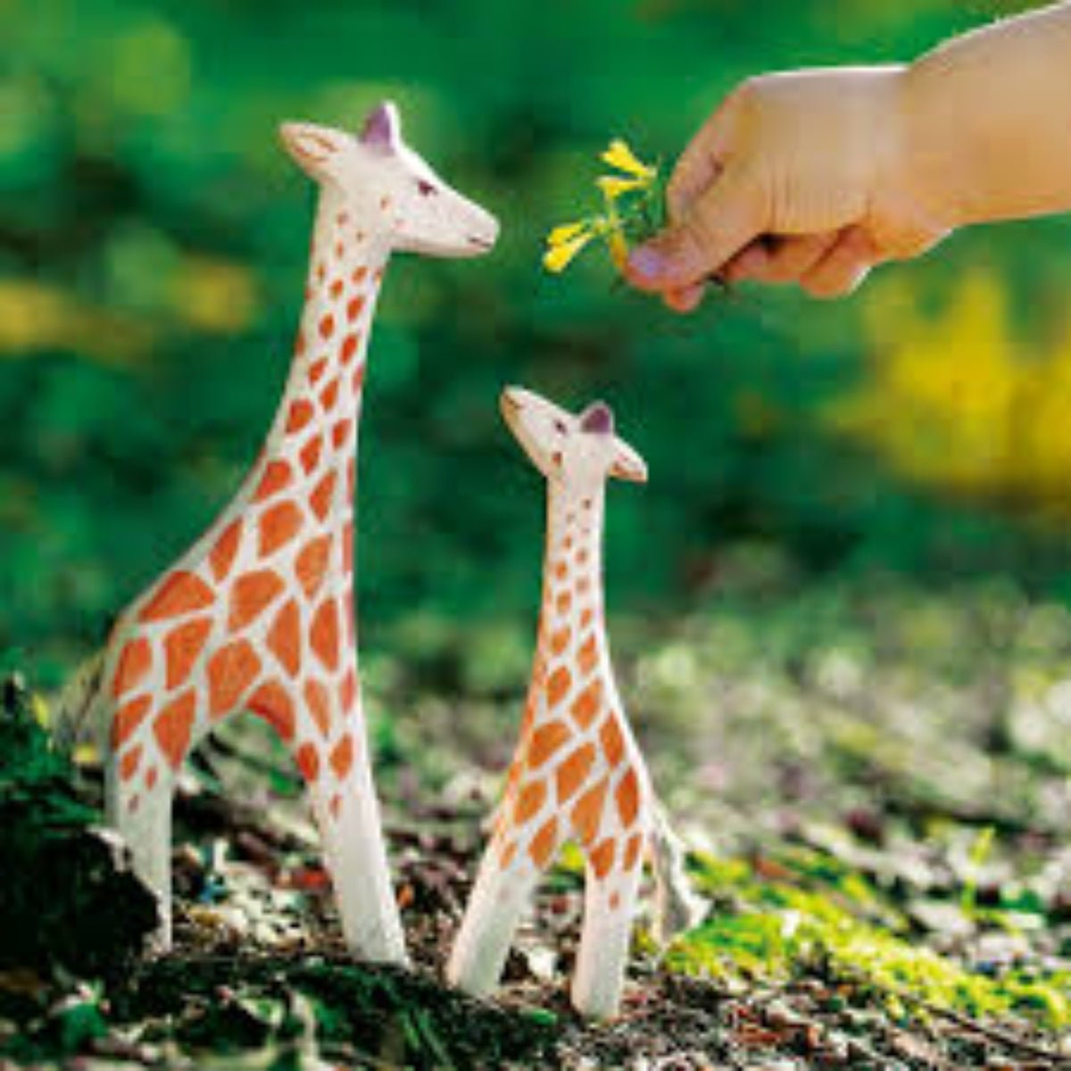 OSTHEIMER Giraffe standing