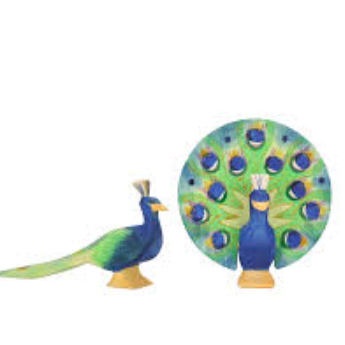 OSTHEIMER Peacock