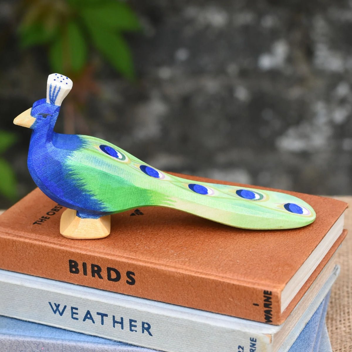 OSTHEIMER Peacock